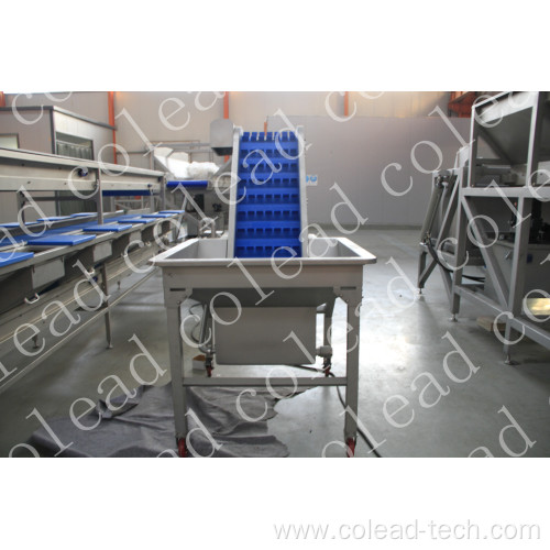 Commercial Pre-soak Washing Elevator for food processing